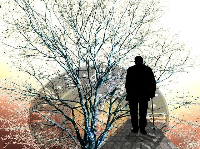 Demenz ist nicht gleich Alzheimer